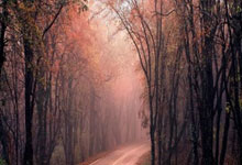 欧预赛半决赛大战爆发，角逐激情火花四溢